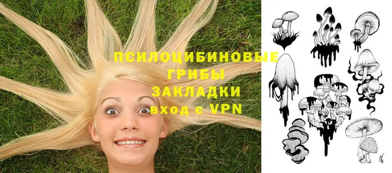 Галлюциногенные грибы Psilocybe  blacksprut зеркало  Бежецк 