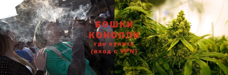 Конопля SATIVA & INDICA  Бежецк 